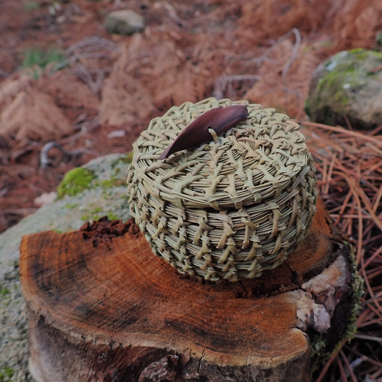 Galerie P10100031 Scaled