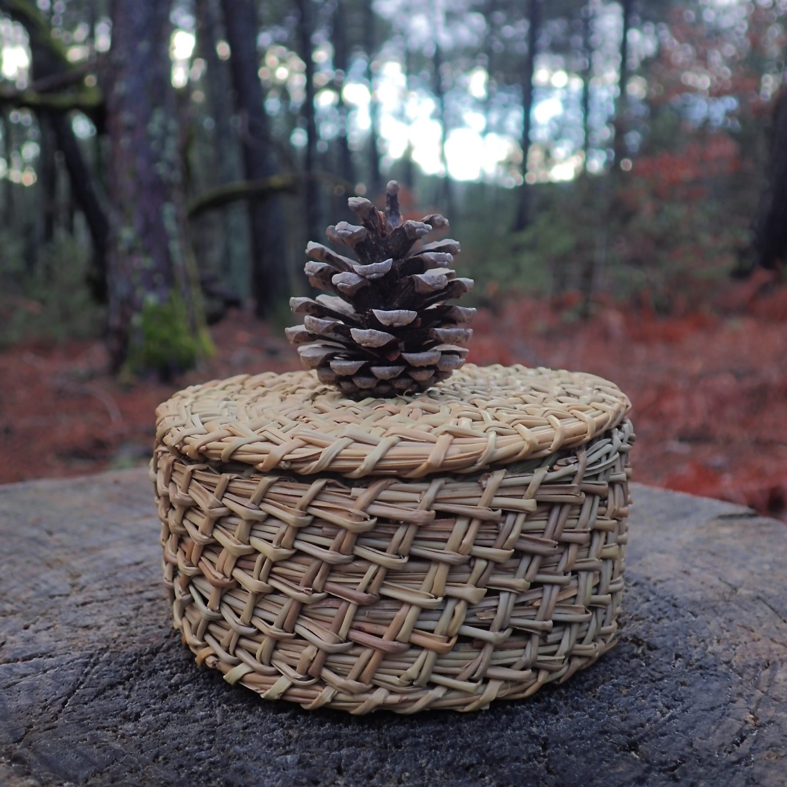 Galerie P1010164 Scaled