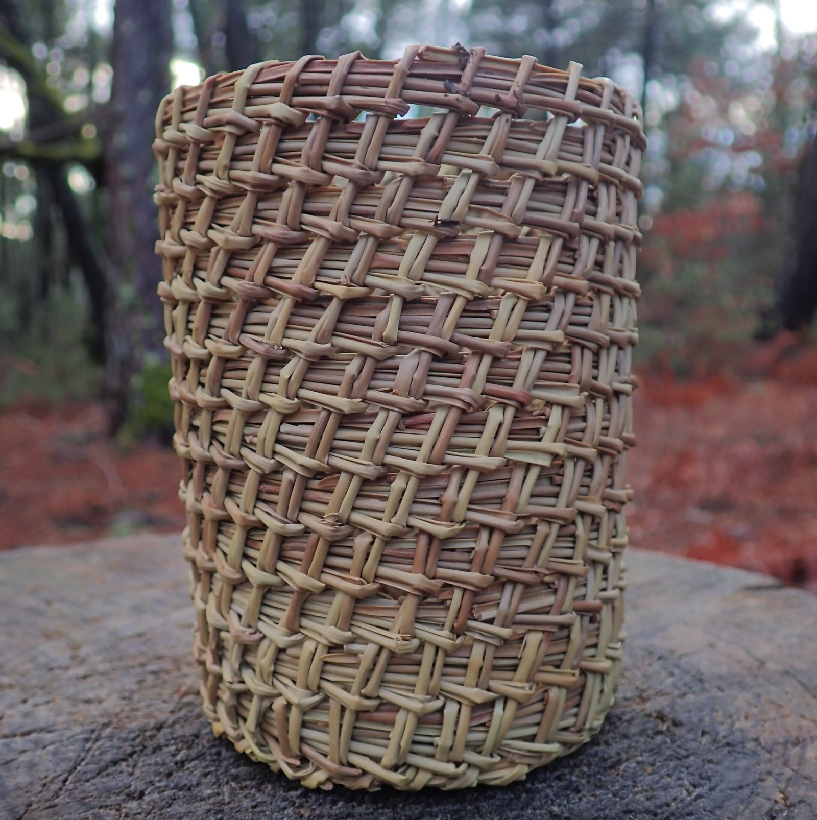 Galerie P1010168 Scaled