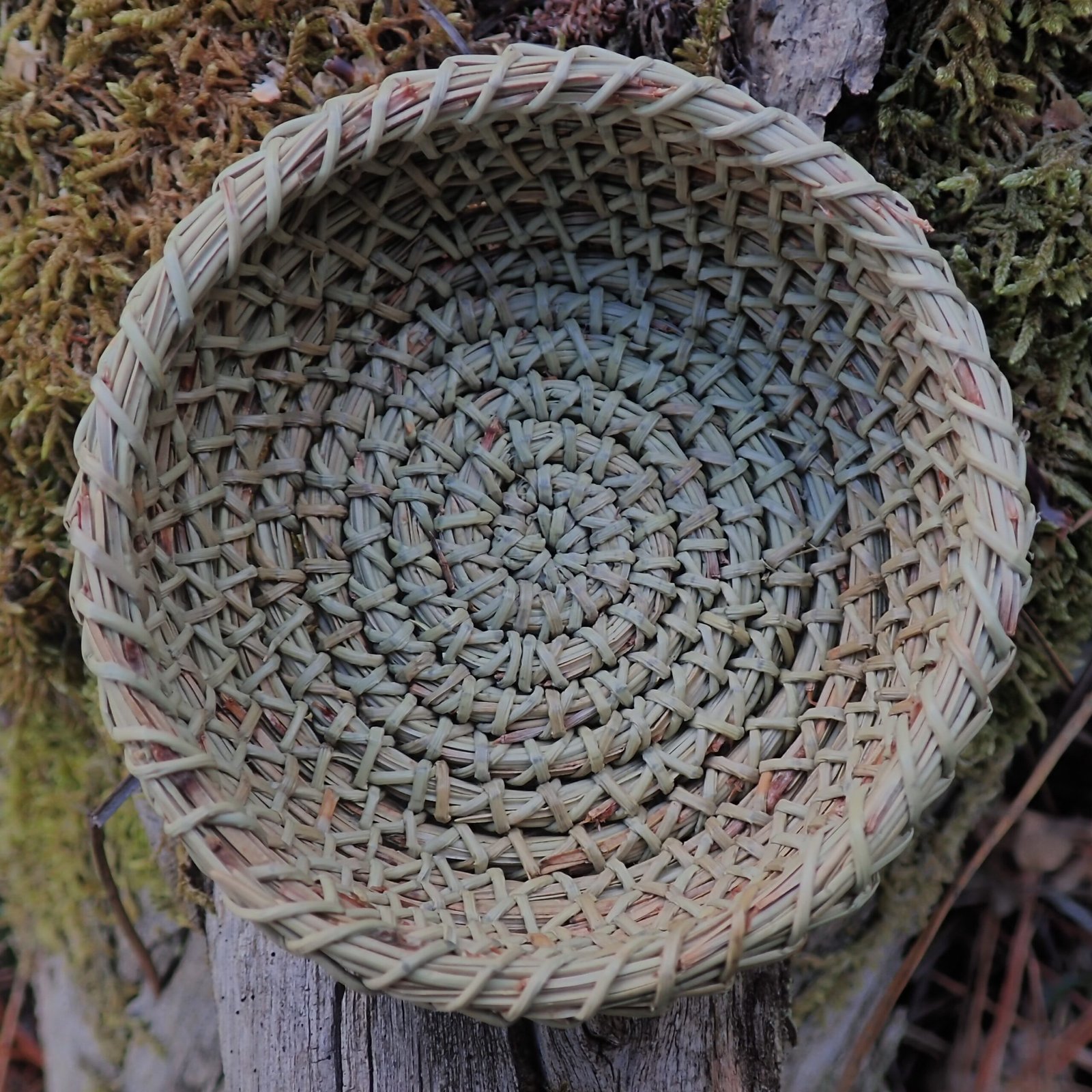 Galerie P9240003 Scaled