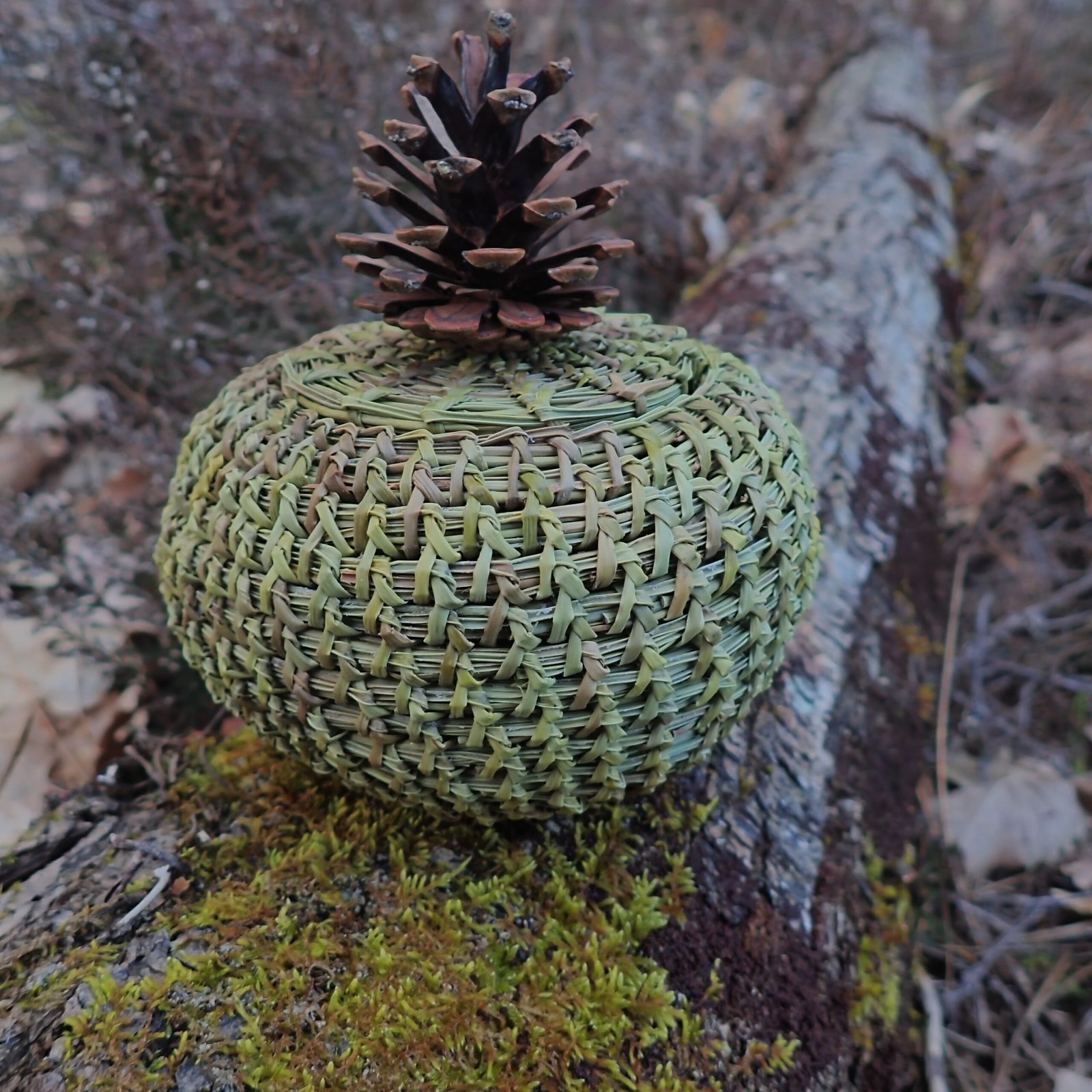 Galerie Pot Spher C Plat Scaled