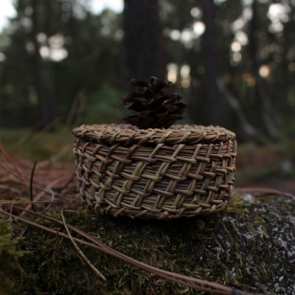 Boîte à bijoux tressée en aiguilles de pin, ornée d’une pomme de pin, posée sur un caillou en forêt au soleil couchant.